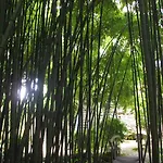 La Verrerie
