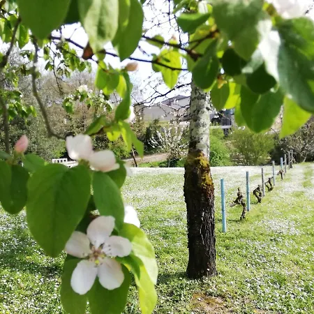 La Verrerie מלון 3*
