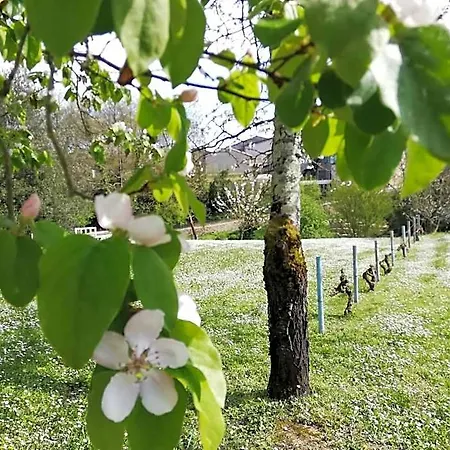La Verrerie